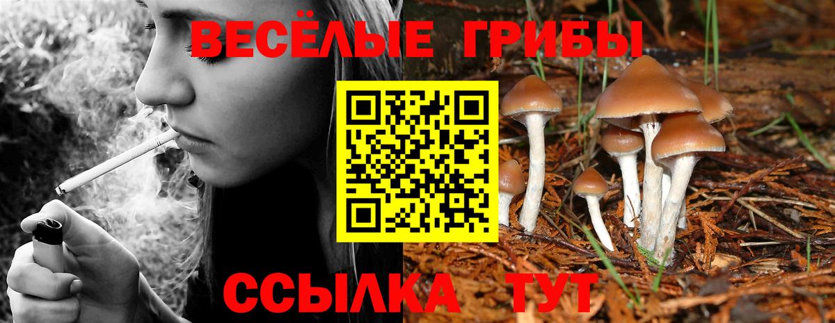 Волжский  Псилоцибиновые грибы GOLDEN TEACHER  Псилоцибиновые грибы Psilocybe  Вход с VPN 
